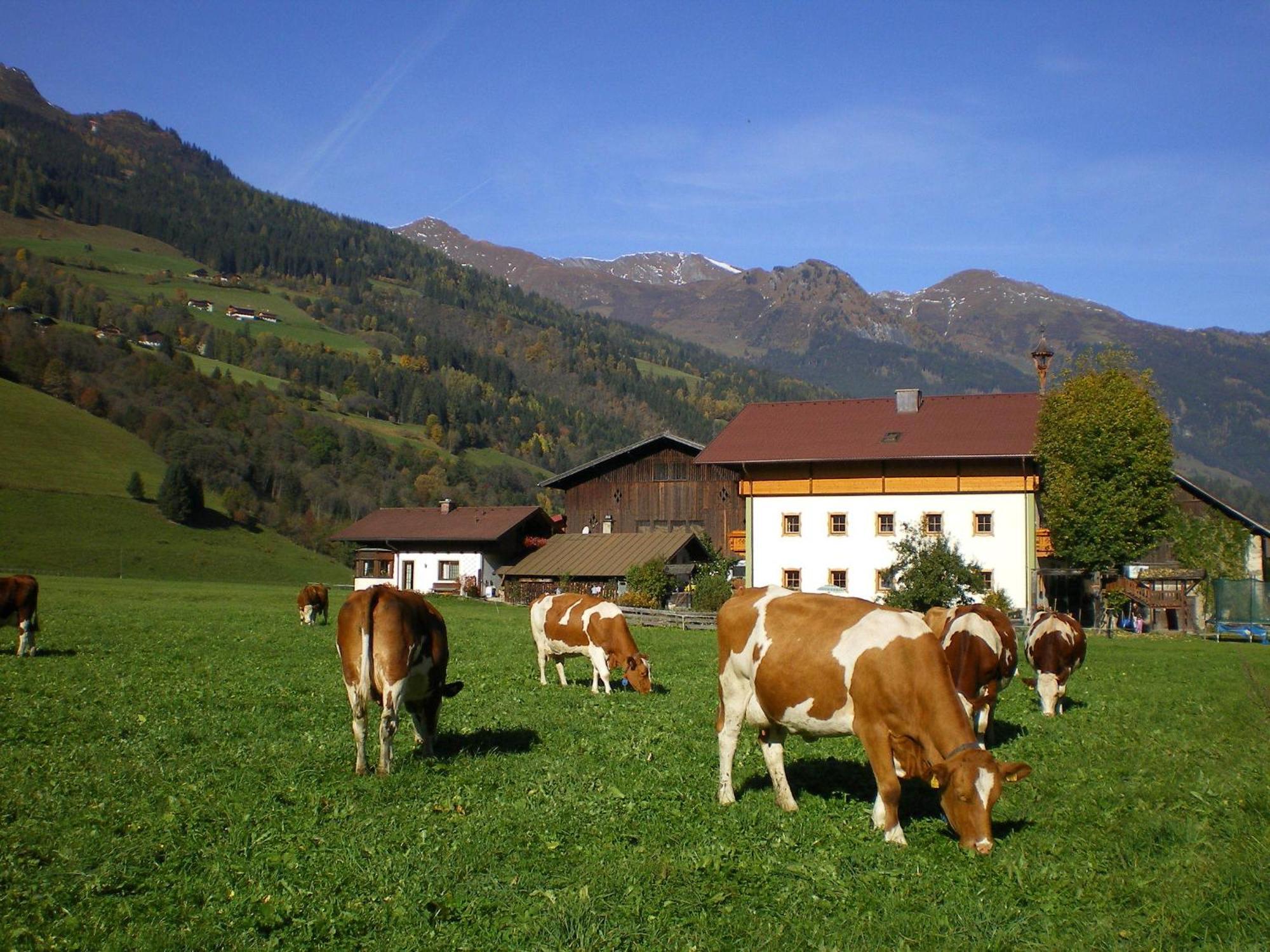 Stubnerbauer Vila Bad Hofgastein Exterior foto